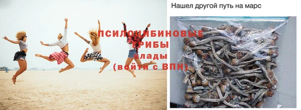 амф Абаза