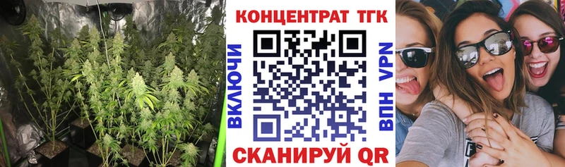 Дистиллят ТГК вейп  закладка  Питкяранта 